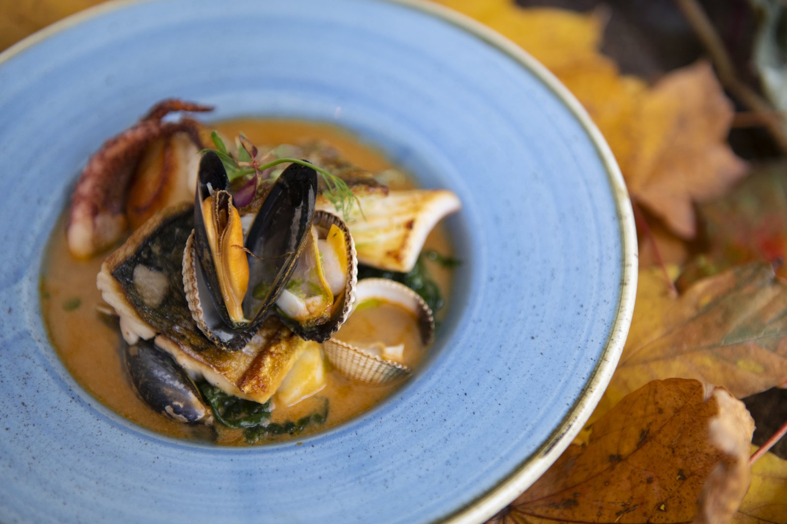 Bouillabaisse bowl with mussels, fish and shellfish