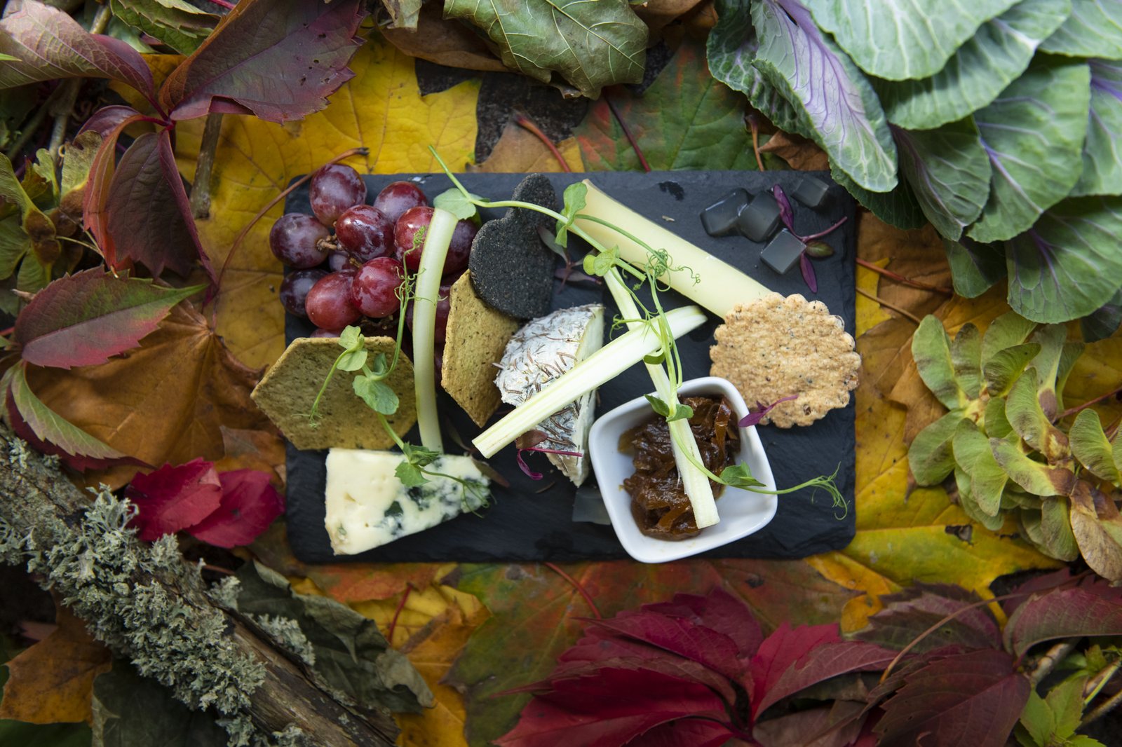 Cheese board with grapes, celery and crackers on autumn leaves
